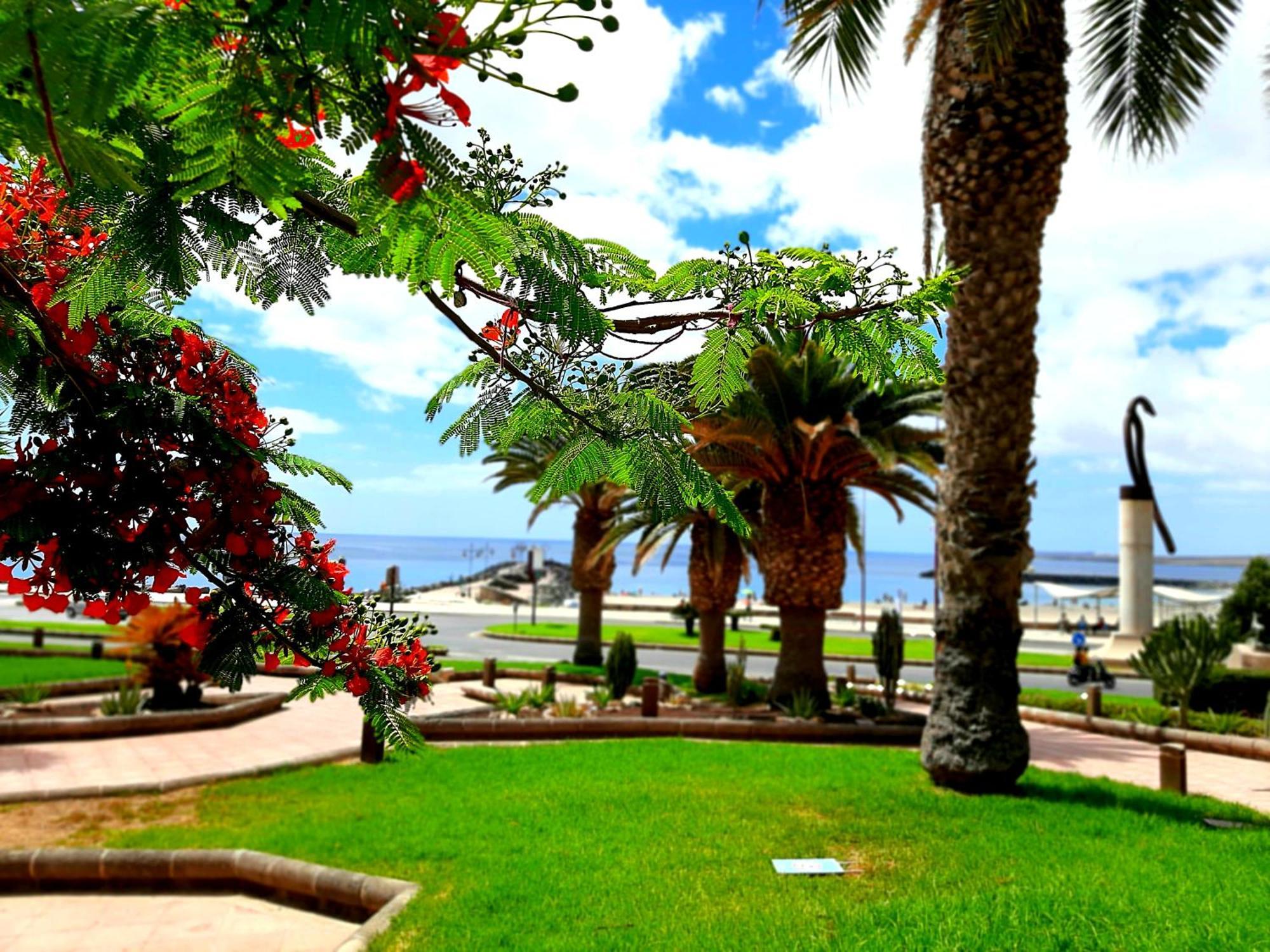 El Bounty De Playa Chica Villa Puerto del Rosario  Bilik gambar